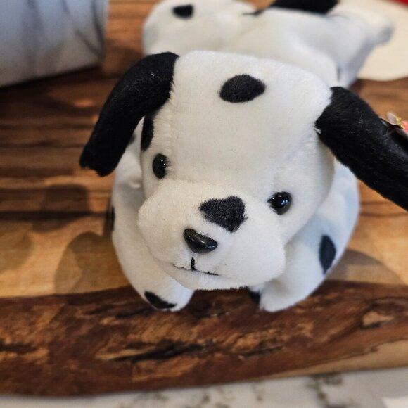 Dotty the Dog TY beanie baby - Picture 2 of 6